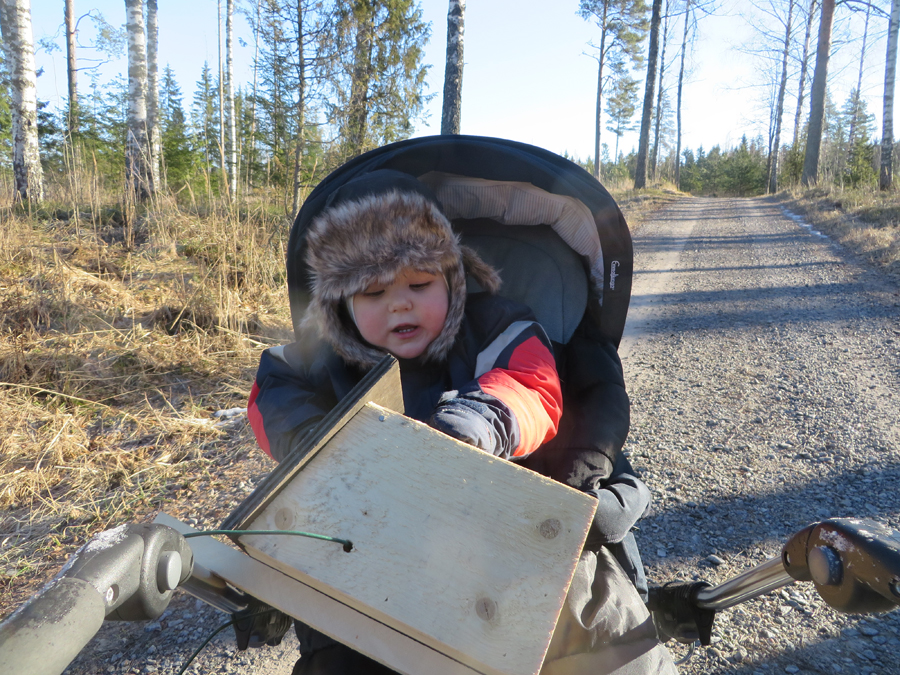 Elias Bardy osallistui viime keväänä ensimmäisten omien linnunpönttöjensä ripustamiseen.Tänä keväänä valikoima laajenee vesilinnun pöntöllä. 