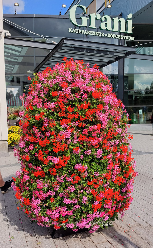 Pelargonitorni/Pelargontorn.